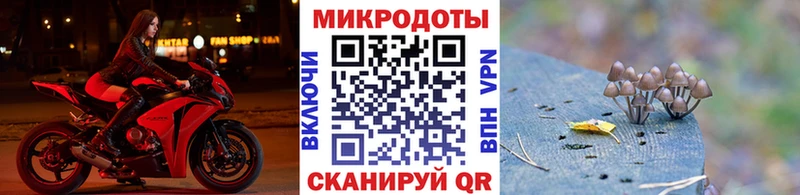 Купить  Усть-Катав  Галлюциногенные грибы Psilocybe 